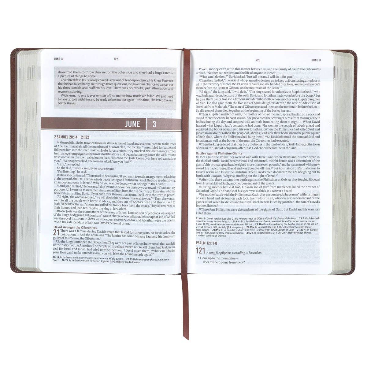Devotional Bible NLT for Men Faux Leather, Chestnut Brown