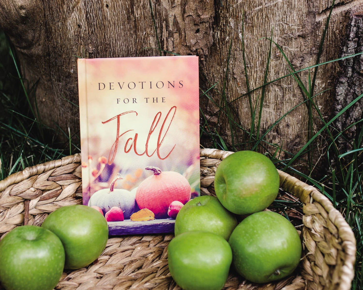 Devotions For The Fall