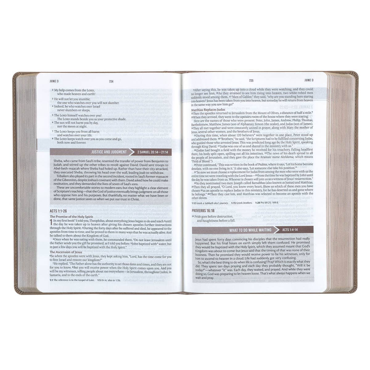 Devotional Bible NLT for Men