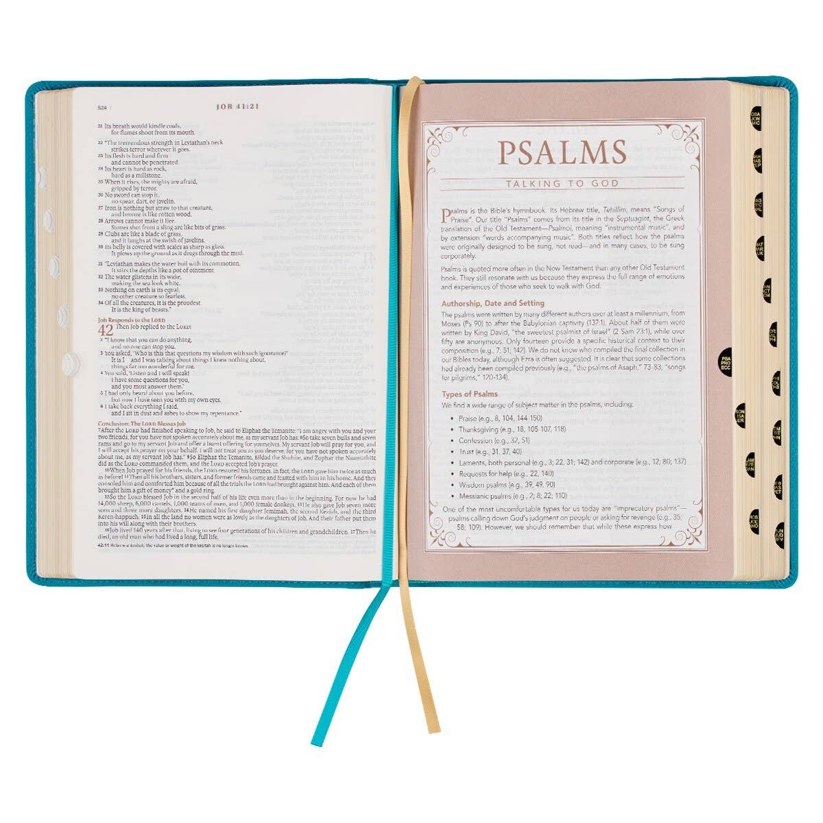 NLT, The Spiritual Growth Bible Faux Leather, Teal