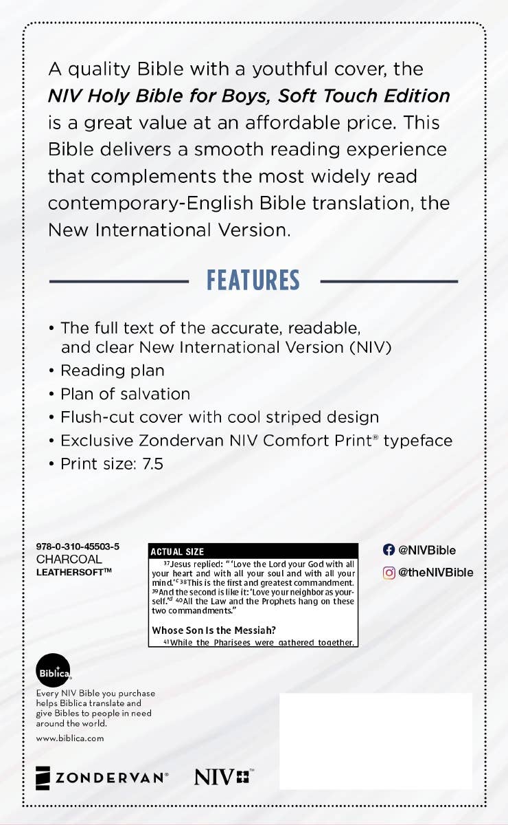 NIV, Holy Bible For Boys