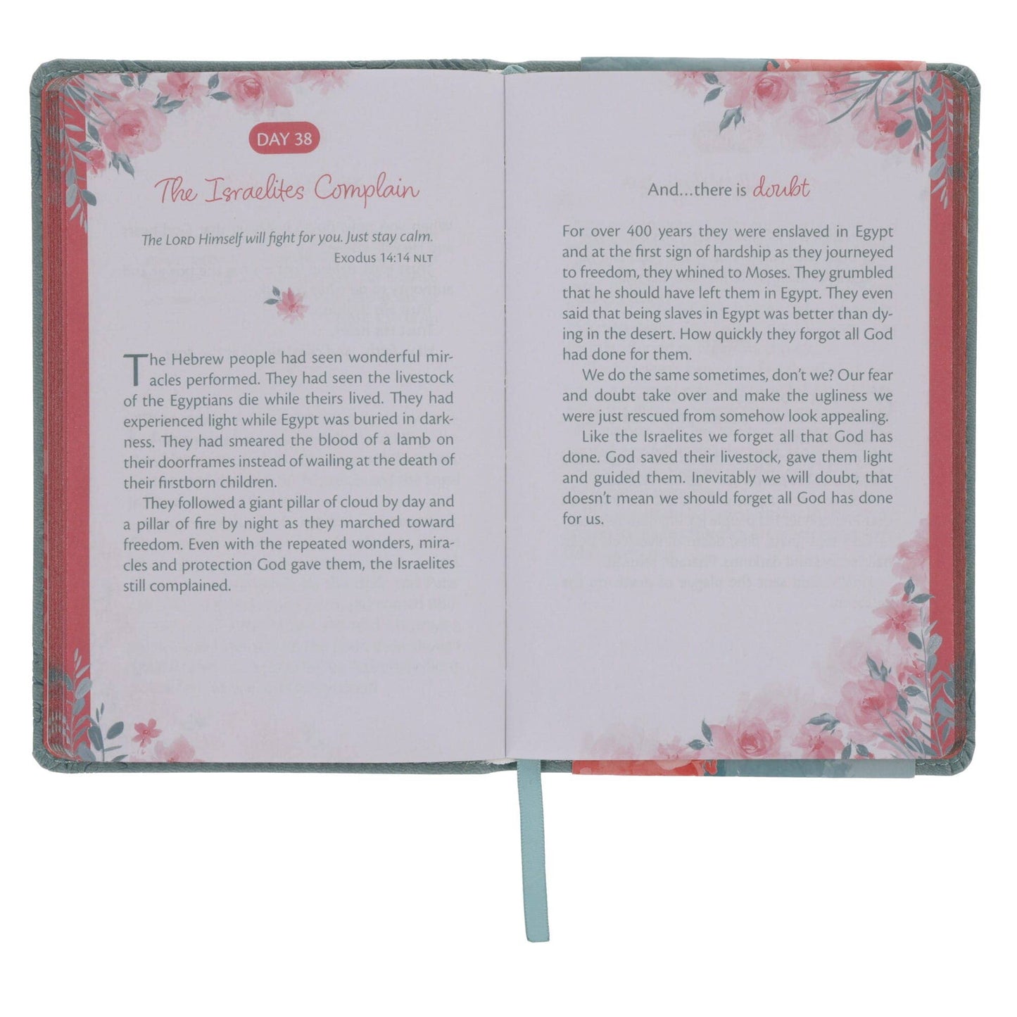 Devotional Trusting God's Plan