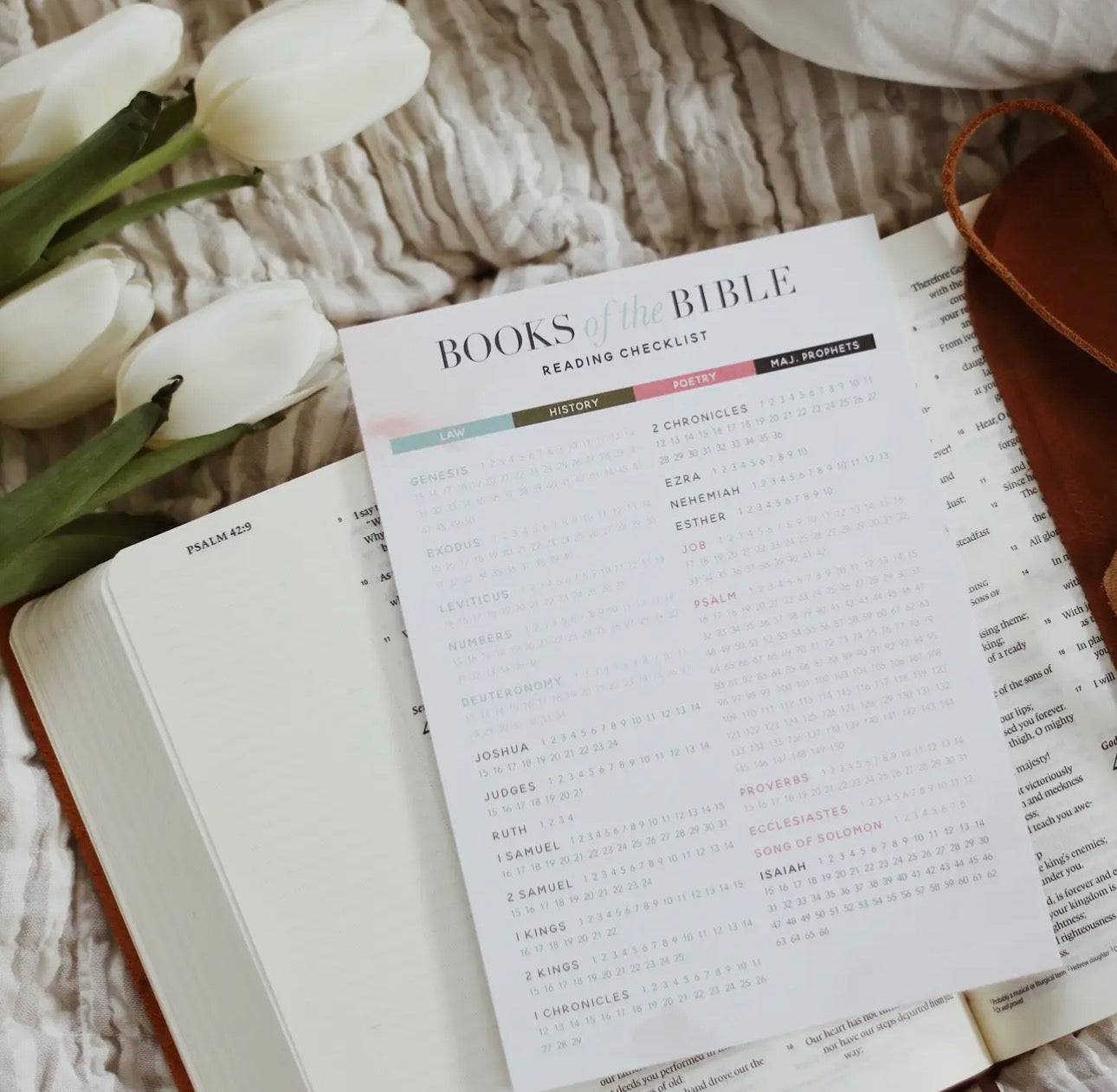 Books of the Bible Checklist Card