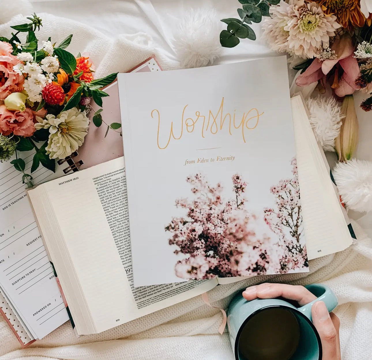 Worship ~ Daily Grace Bible Study Book