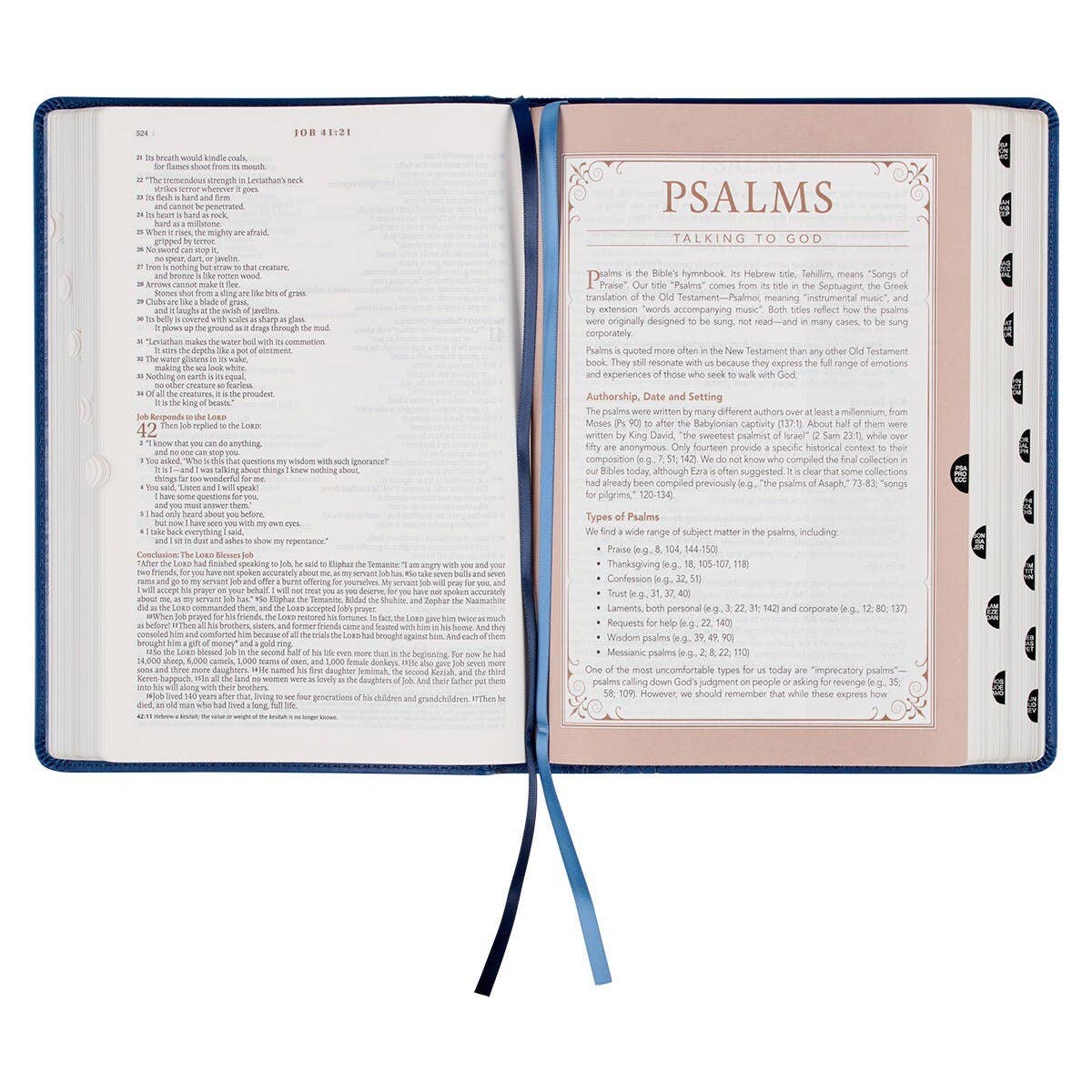 NLT, The Spiritual Growth Bible Faux Leather, Navy