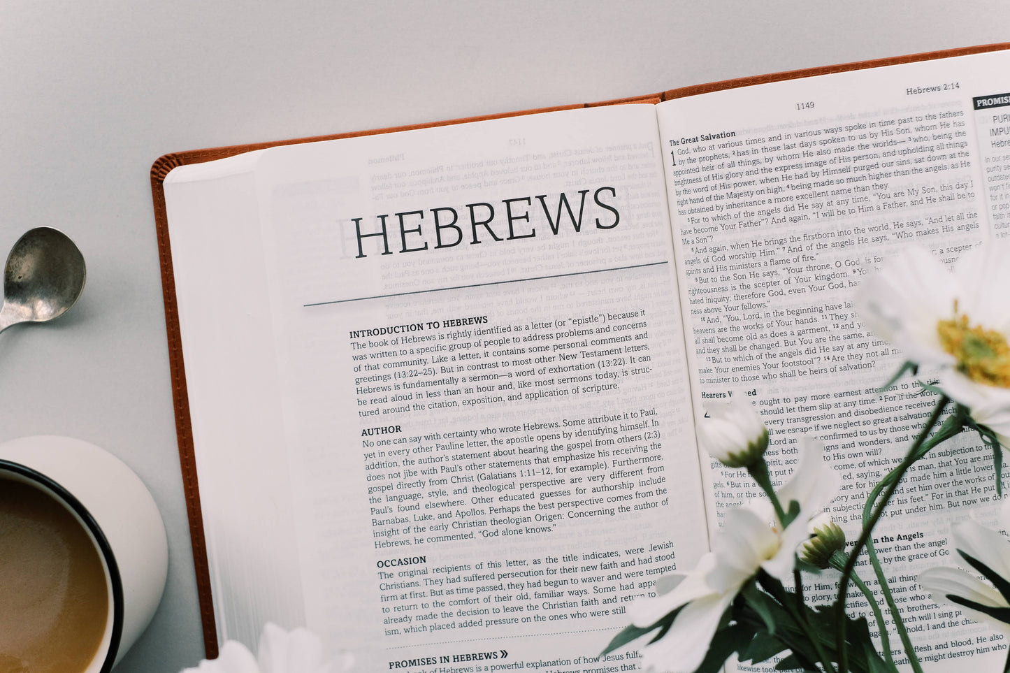 The Holy Bible: SKJV [Chestnut Floral]