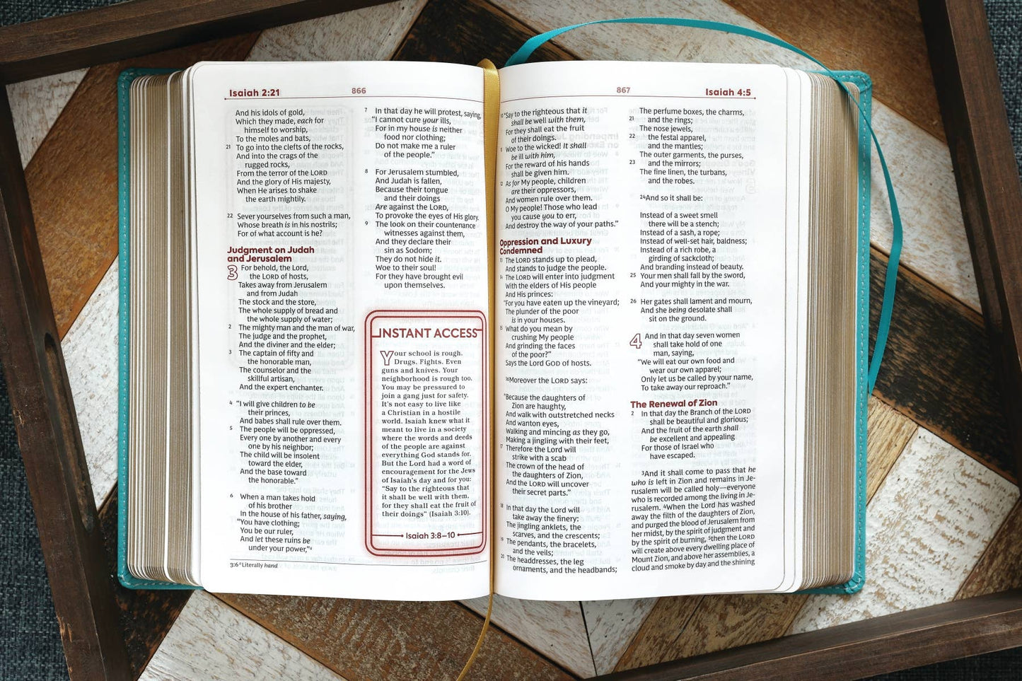 Nkjv, Teen Study Bible