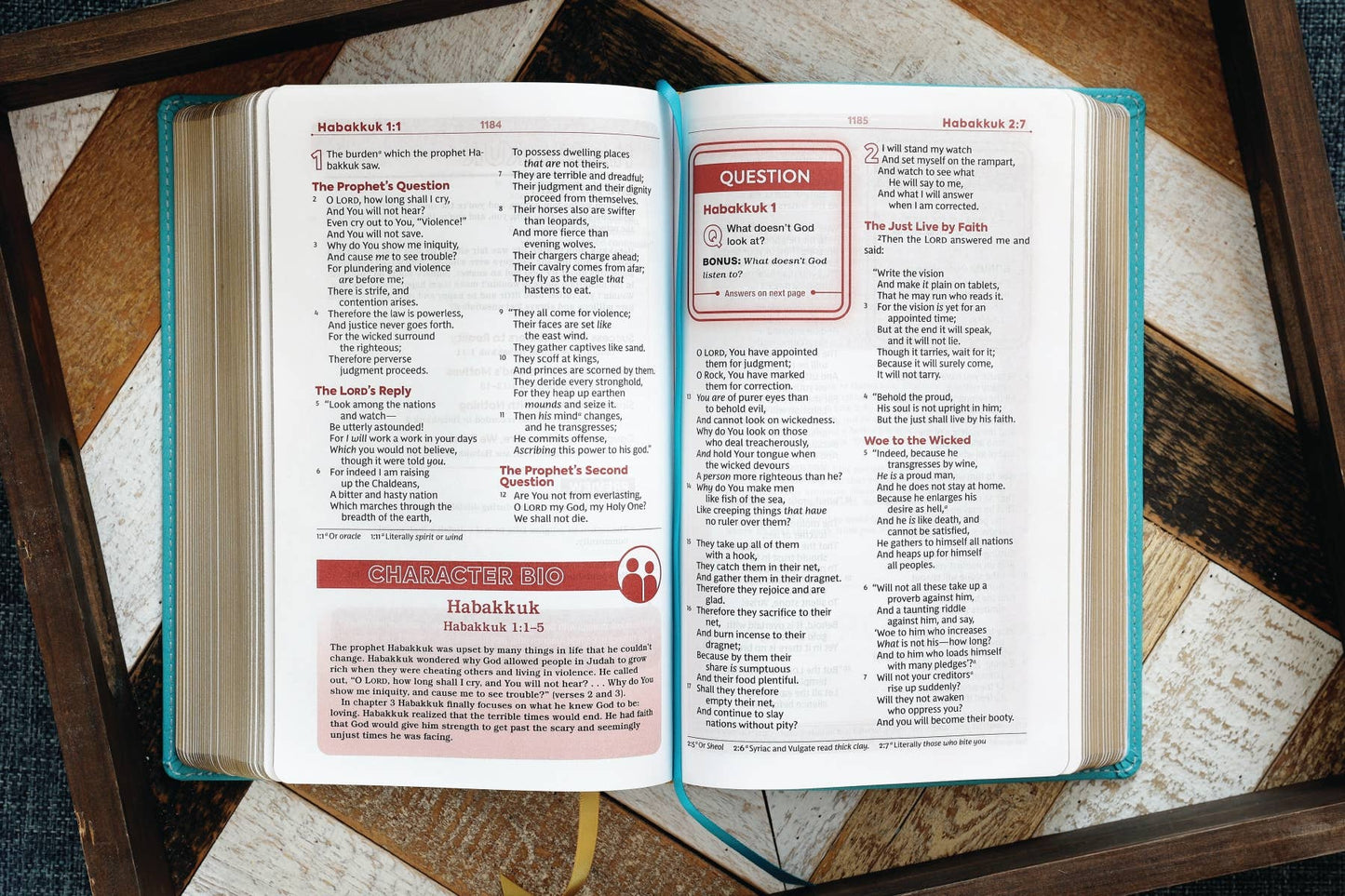 Nkjv, Teen Study Bible