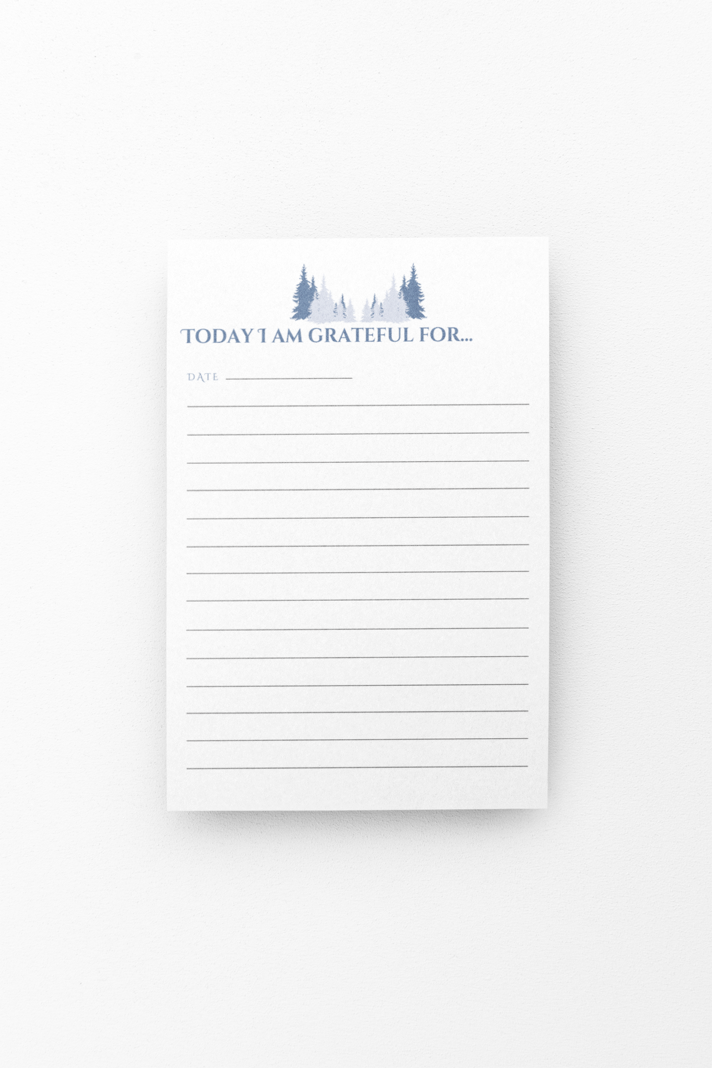 Gratitude Journal Gift Christian Spiral Notebook Gratitude Journal Faith Based Gift  Thankful Notebook For Her Daily Journal
