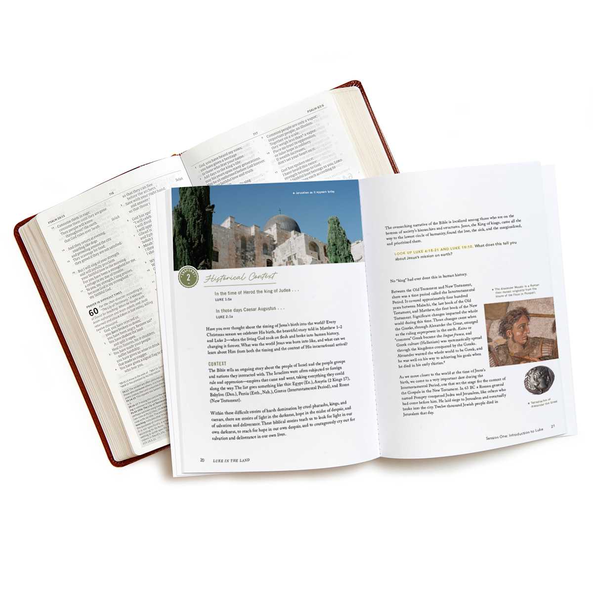 Luke in the Land - Bible Study Book with Video Access