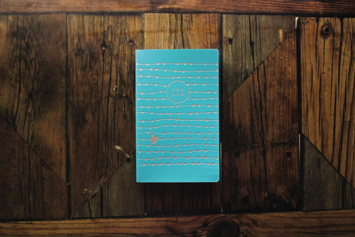 NIV, Holy Bible For Girls