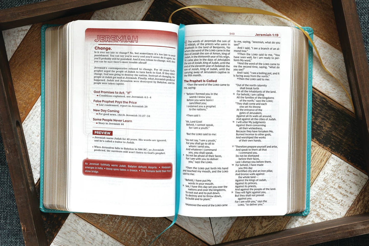 Nkjv, Teen Study Bible