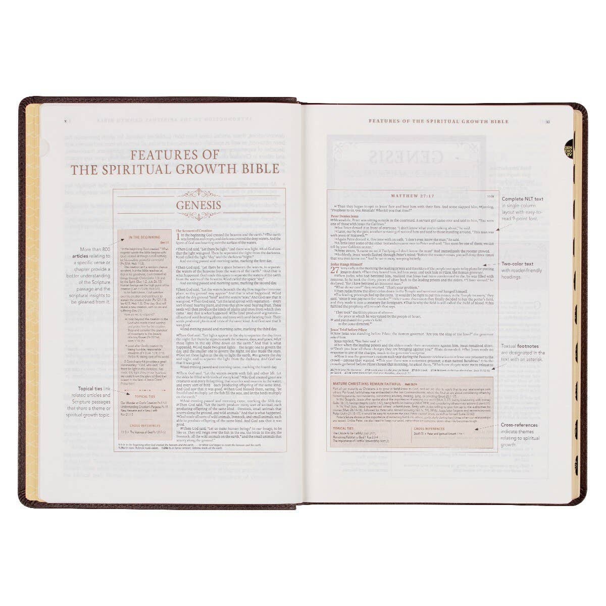 NLT, The Spiritual Growth Bible Faux Leather, Walnut Brown