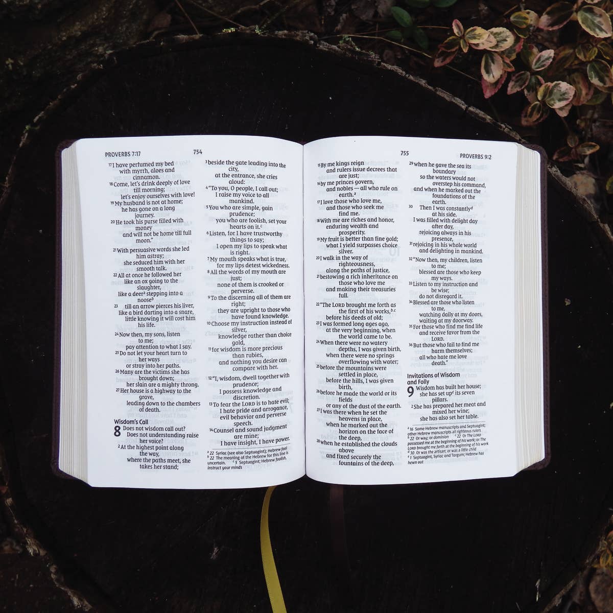 NIV, Larger Print Compact Bible