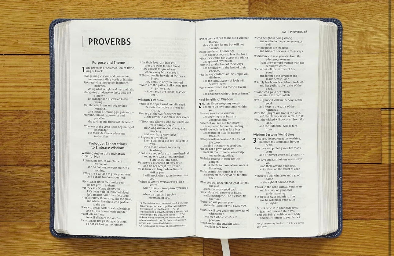 NIV Bible for Teens, Blue, Red Letter