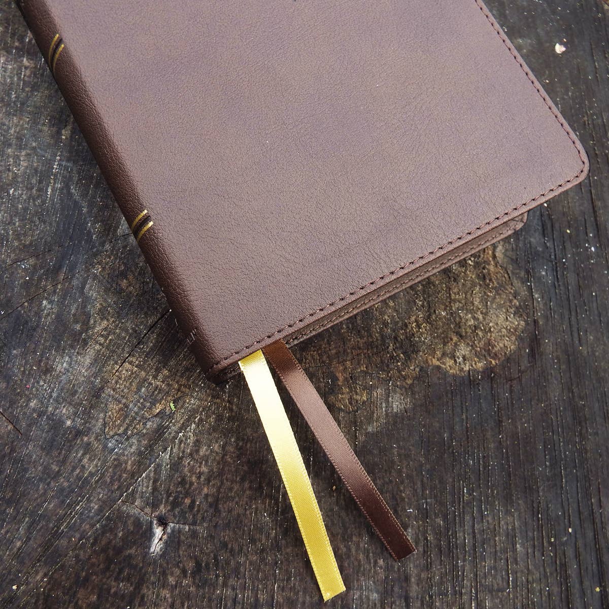 NIV, Larger Print Compact Bible