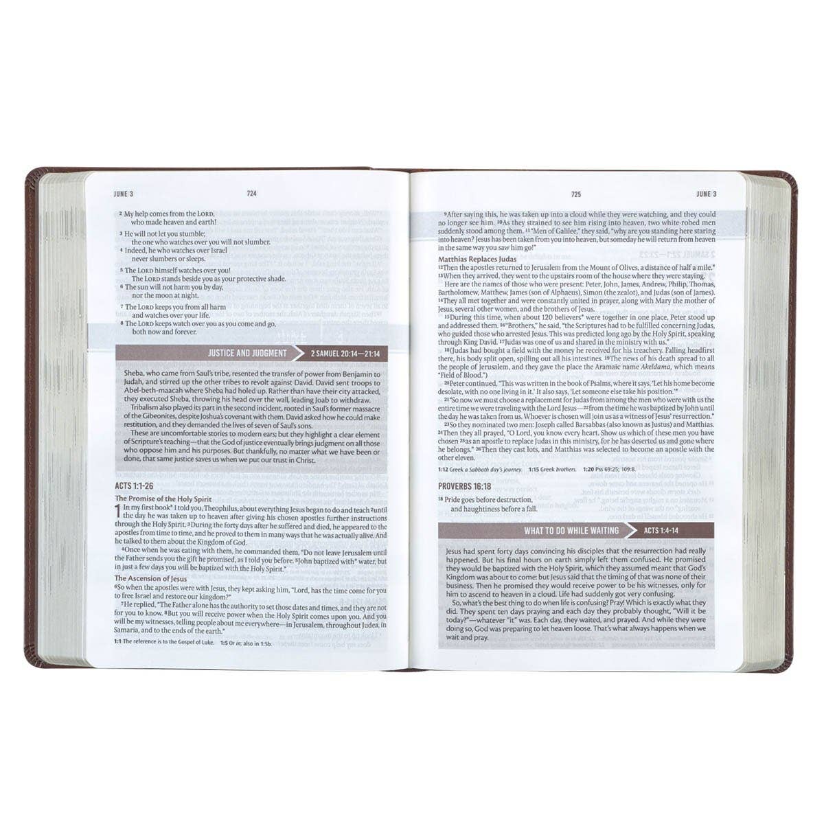 Devotional Bible NLT for Men Faux Leather, Chestnut Brown