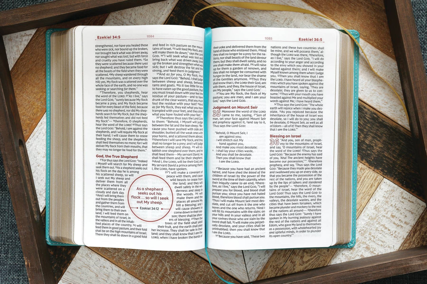 Nkjv, Teen Study Bible