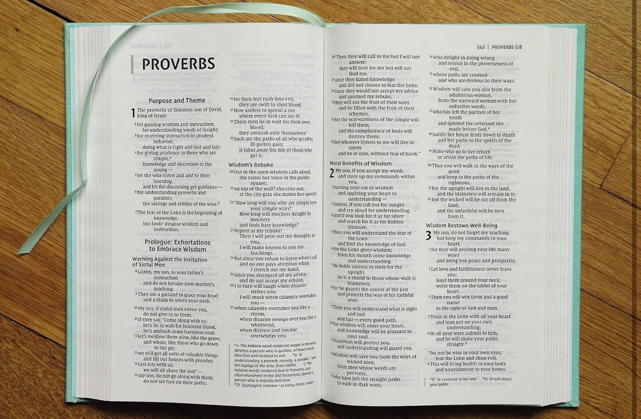 NIV Bible for Teens, Cloth over Board, Floral, Red Letter