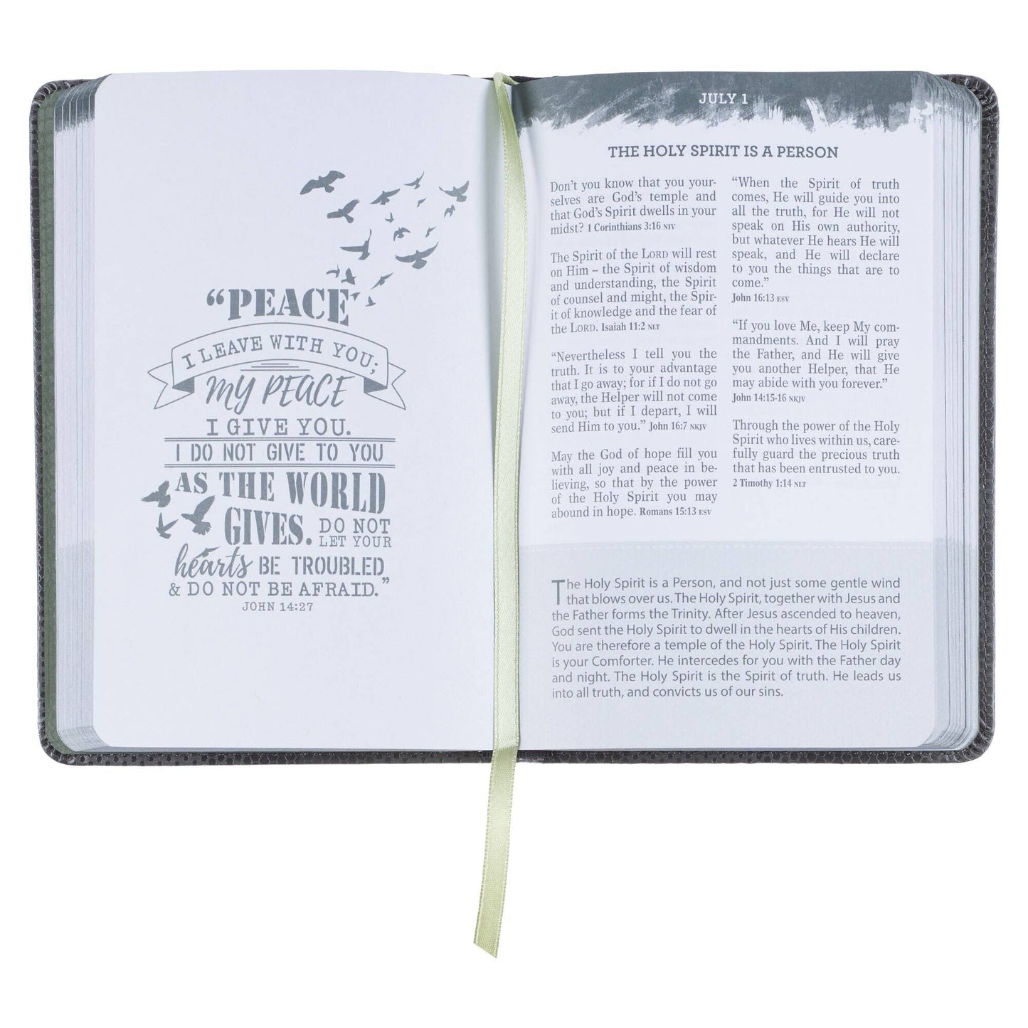 Pocket Bible Devotional for Guys Faux Leather