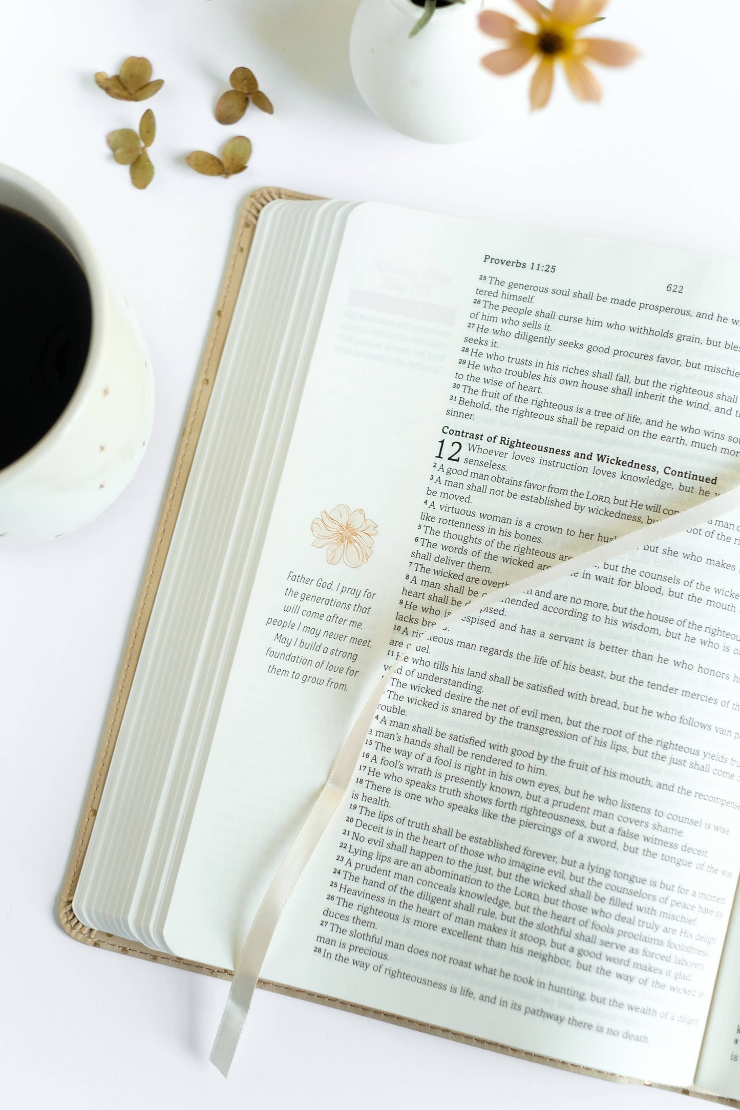 Mustard Seed Faith Devotional Bible—SKJV [Beige Polka Dots]iuybmnv<BV>