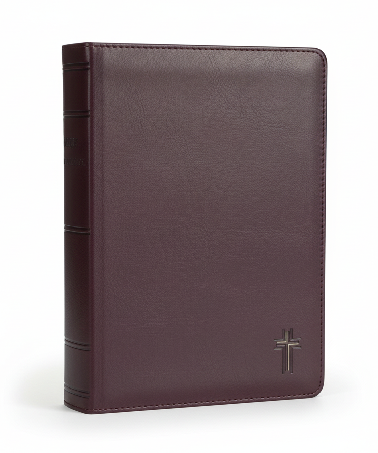 Brown Cross Devotional Bible NLT for Men