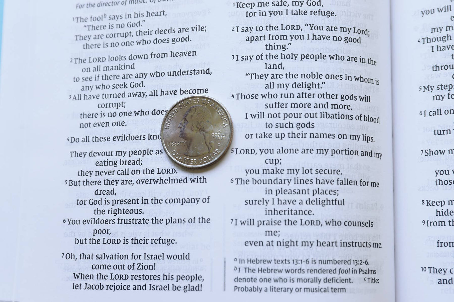 NIV, Value Thinline Bible