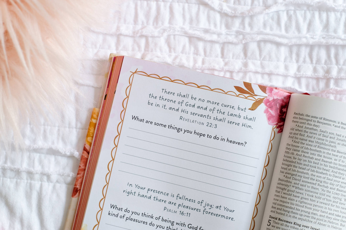 My Bible SKJV for Girls [Floral Giraffe]