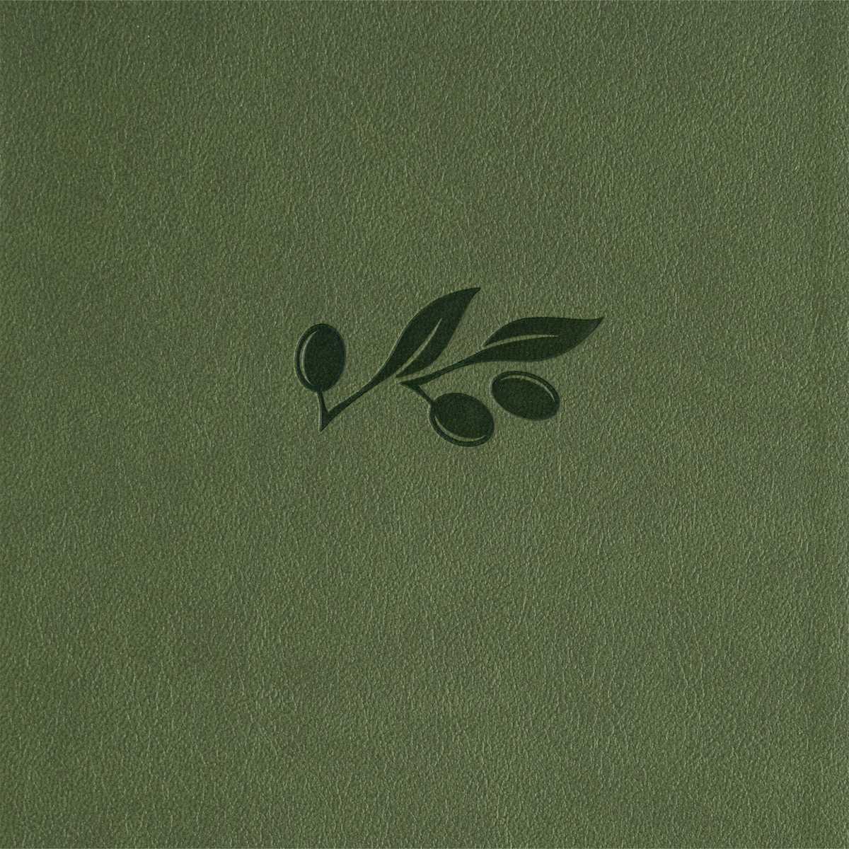 CSB Large Print Reference Bible, Olive LeatherTouch, Indexed