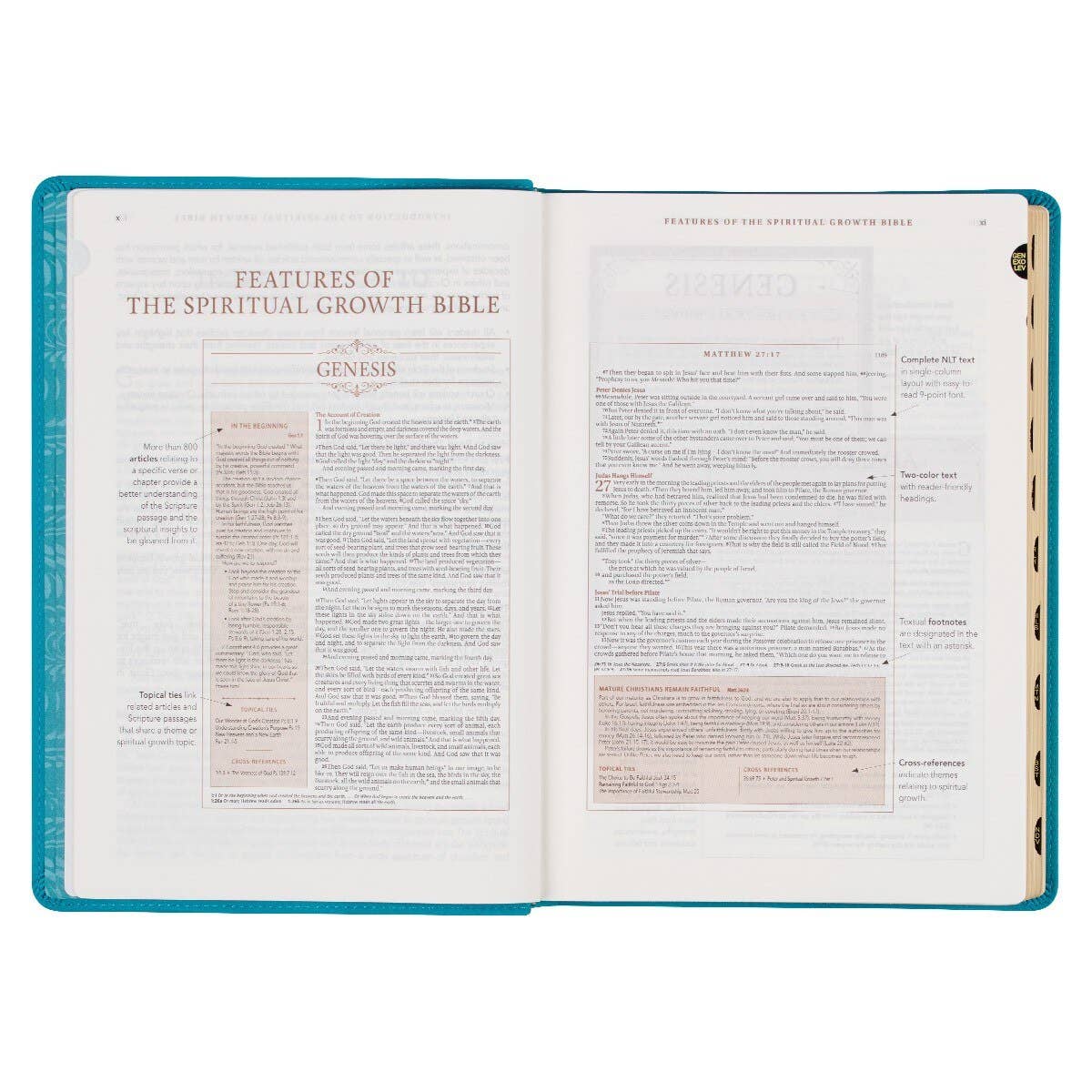 NLT, The Spiritual Growth Bible Faux Leather, Teal
