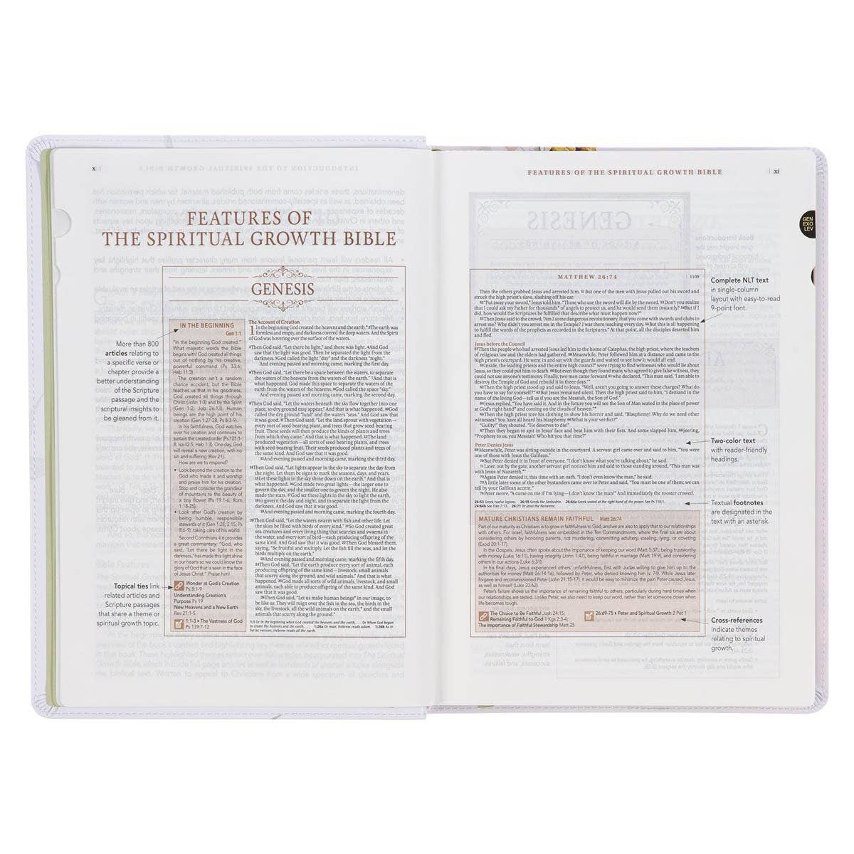 Cream Floral Spiritual Growth Bible New Living Translation