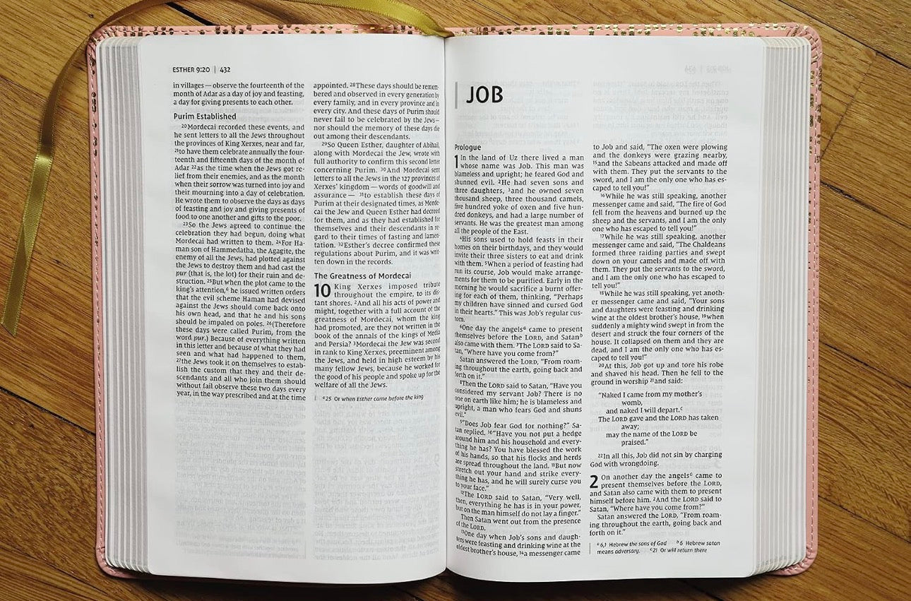 NIV Bible for Teens, Pink, Red Letter