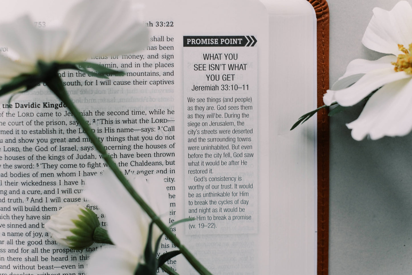 The Holy Bible: SKJV [Chestnut Floral]