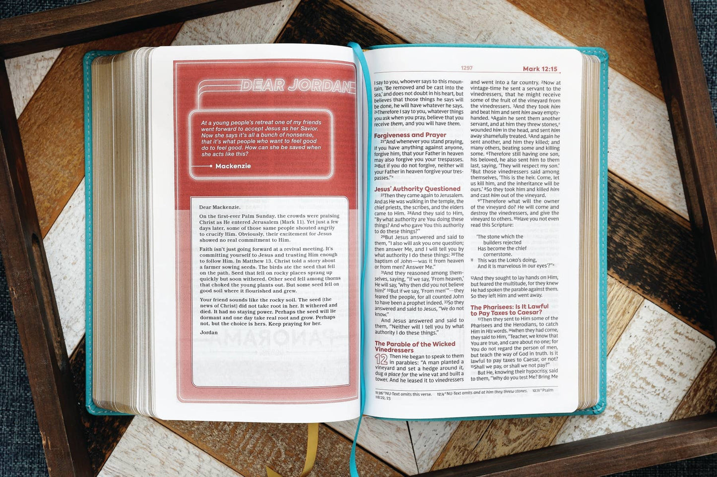 Nkjv, Teen Study Bible