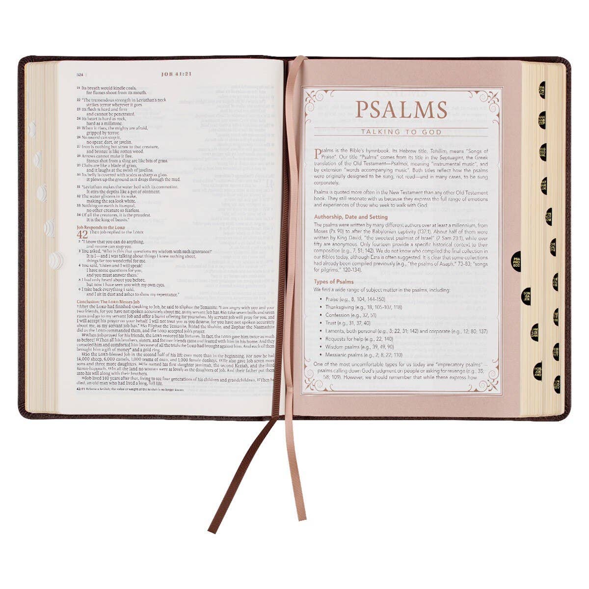 NLT, The Spiritual Growth Bible Faux Leather, Walnut Brown