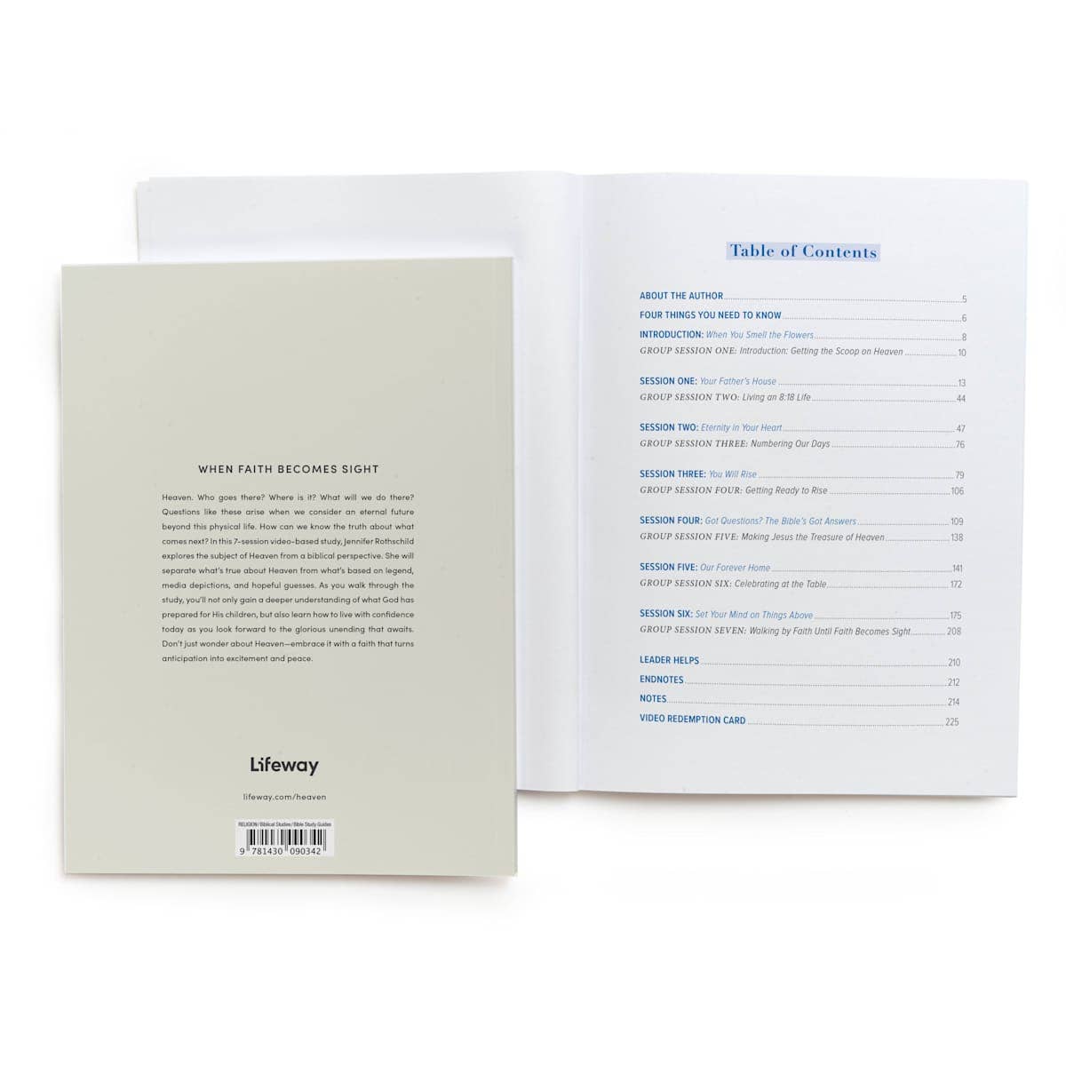 Heaven - Bible Study Book with Video Access