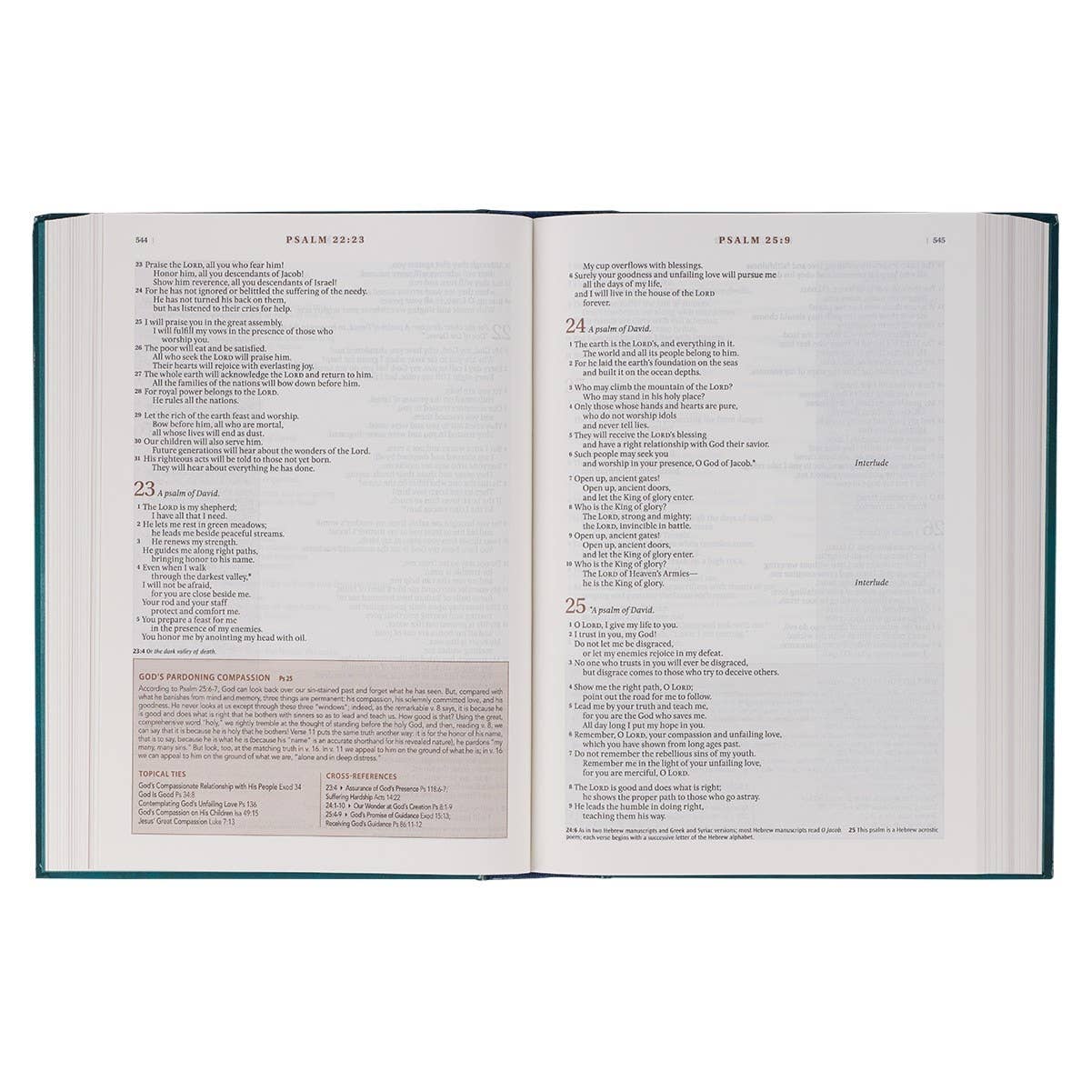 NLT, The Spiritual Growth Bible Hardcover, Teal
