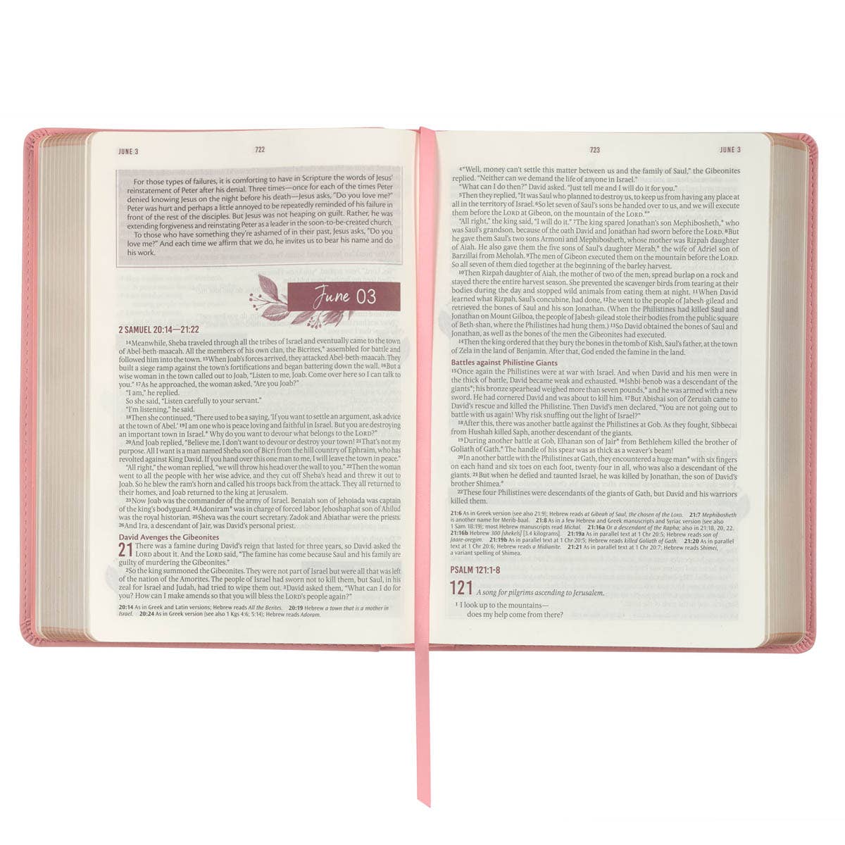 Devotional Bible NLT for Women Faux Leather, Pink