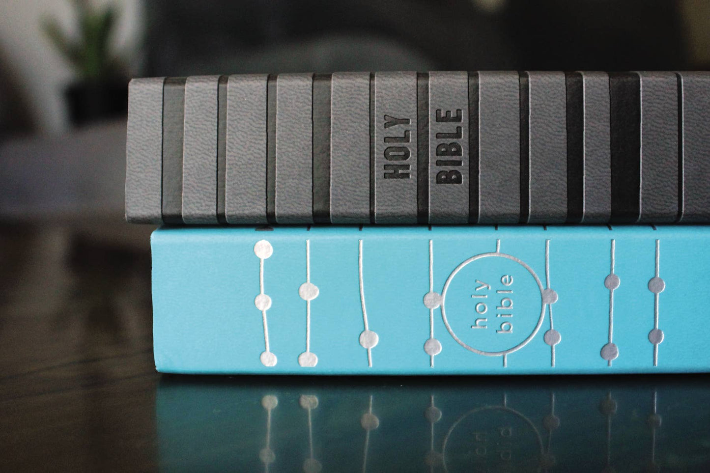 NIV, Holy Bible For Girls