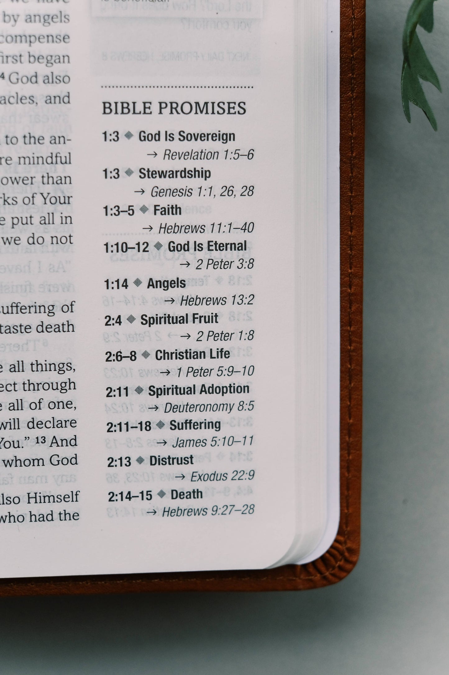 The Holy Bible: SKJV [Chestnut Floral]