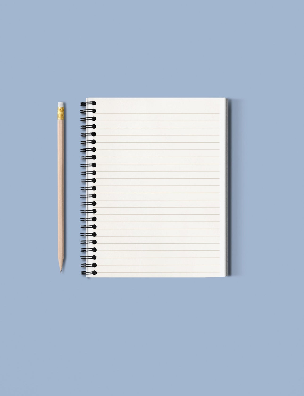 Mindset is Everything Notebook