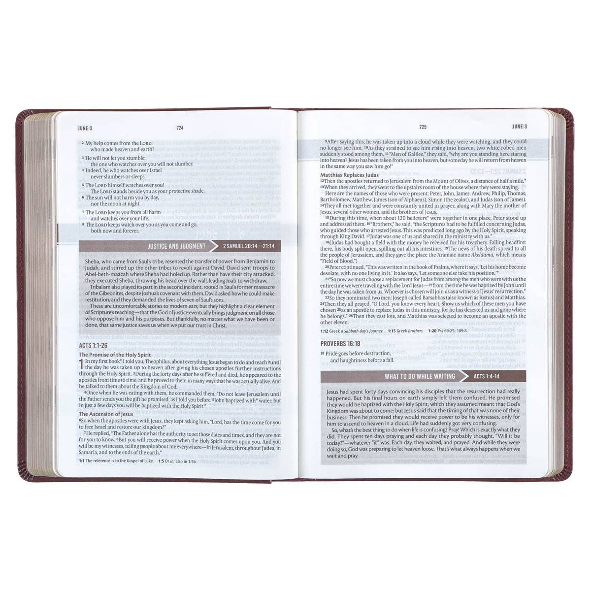 Devotional Bible NLT for Men Faux Leather, Saddle Tan