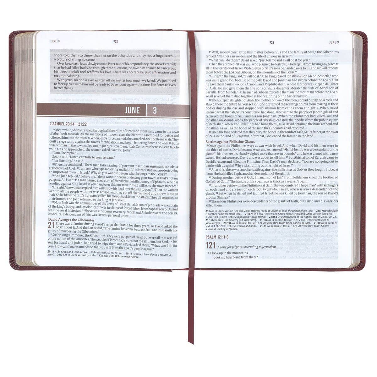 Devotional Bible NLT for Men Faux Leather, Saddle Tan