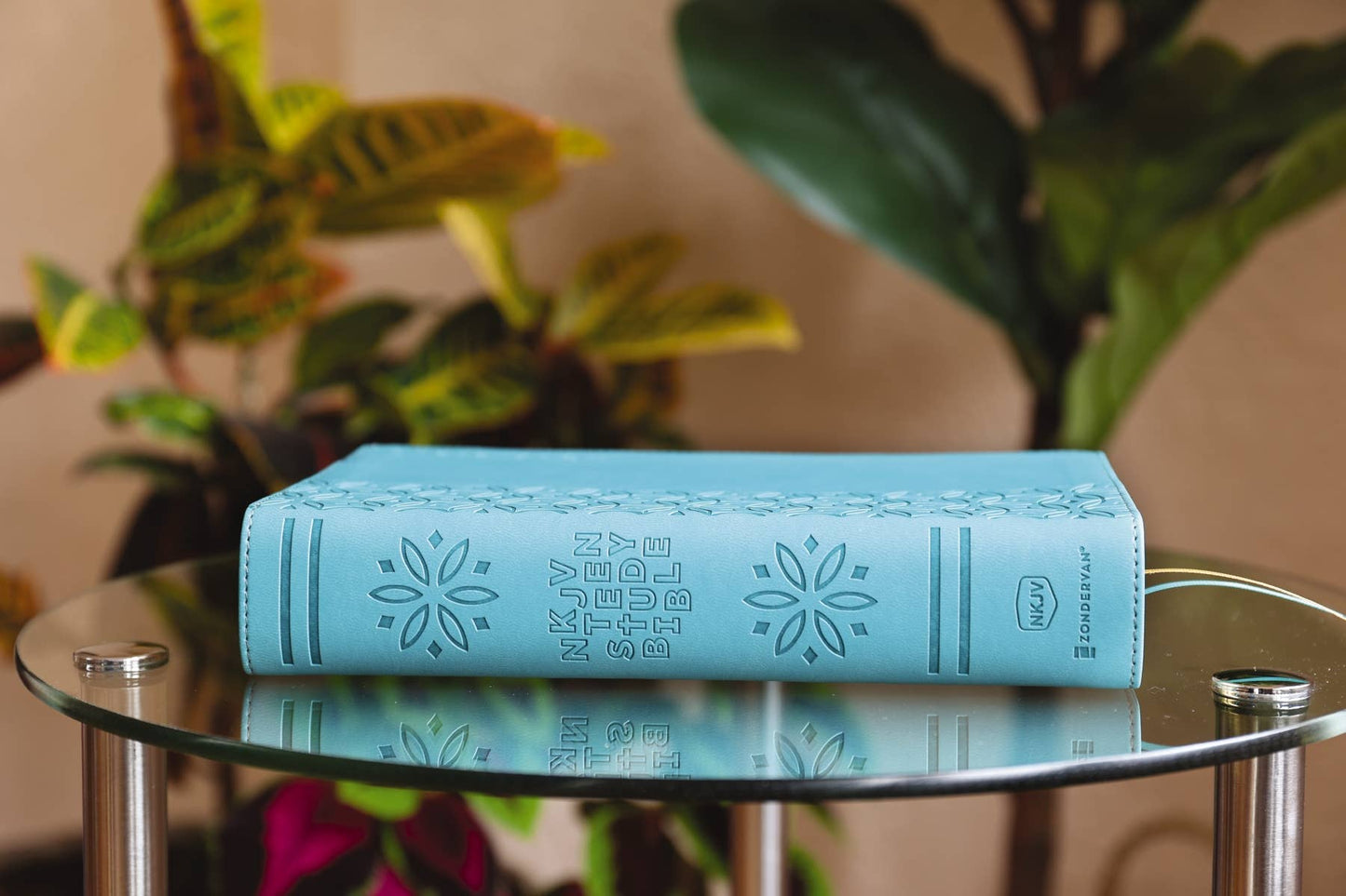 Nkjv, Teen Study Bible