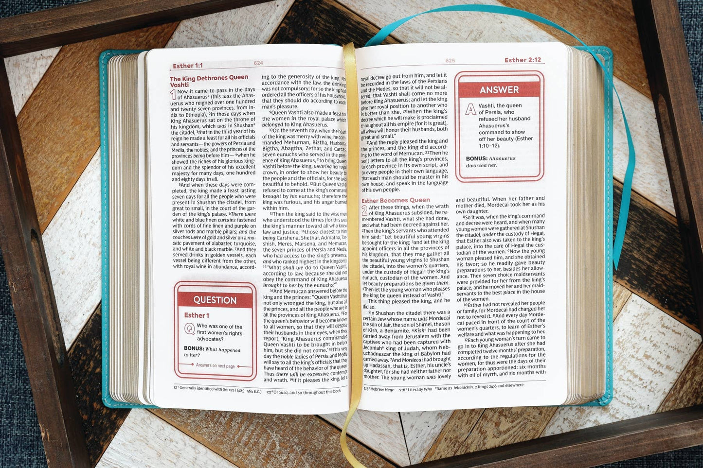 Nkjv, Teen Study Bible