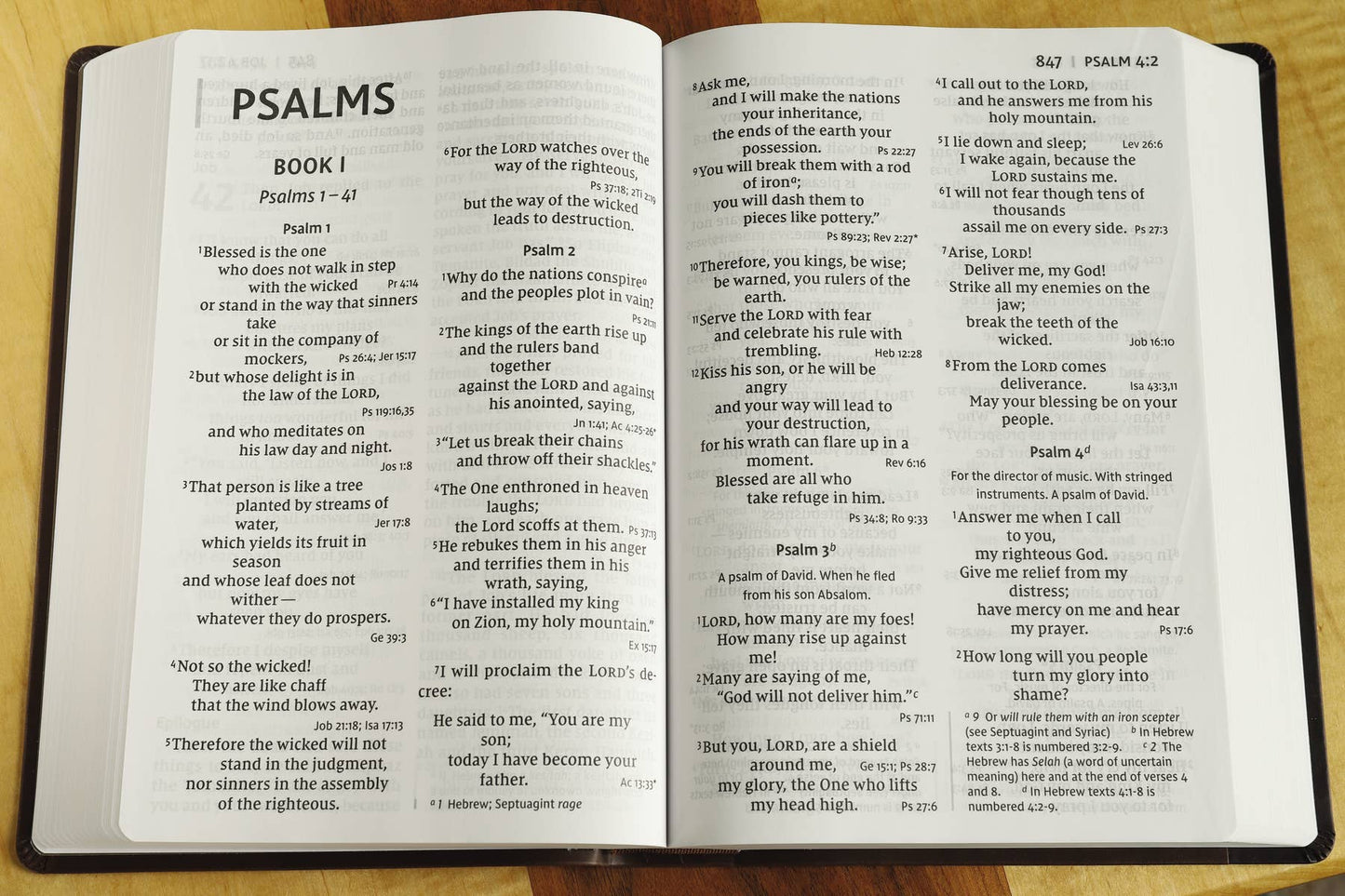 NIV, Super Giant Print Reference Bible