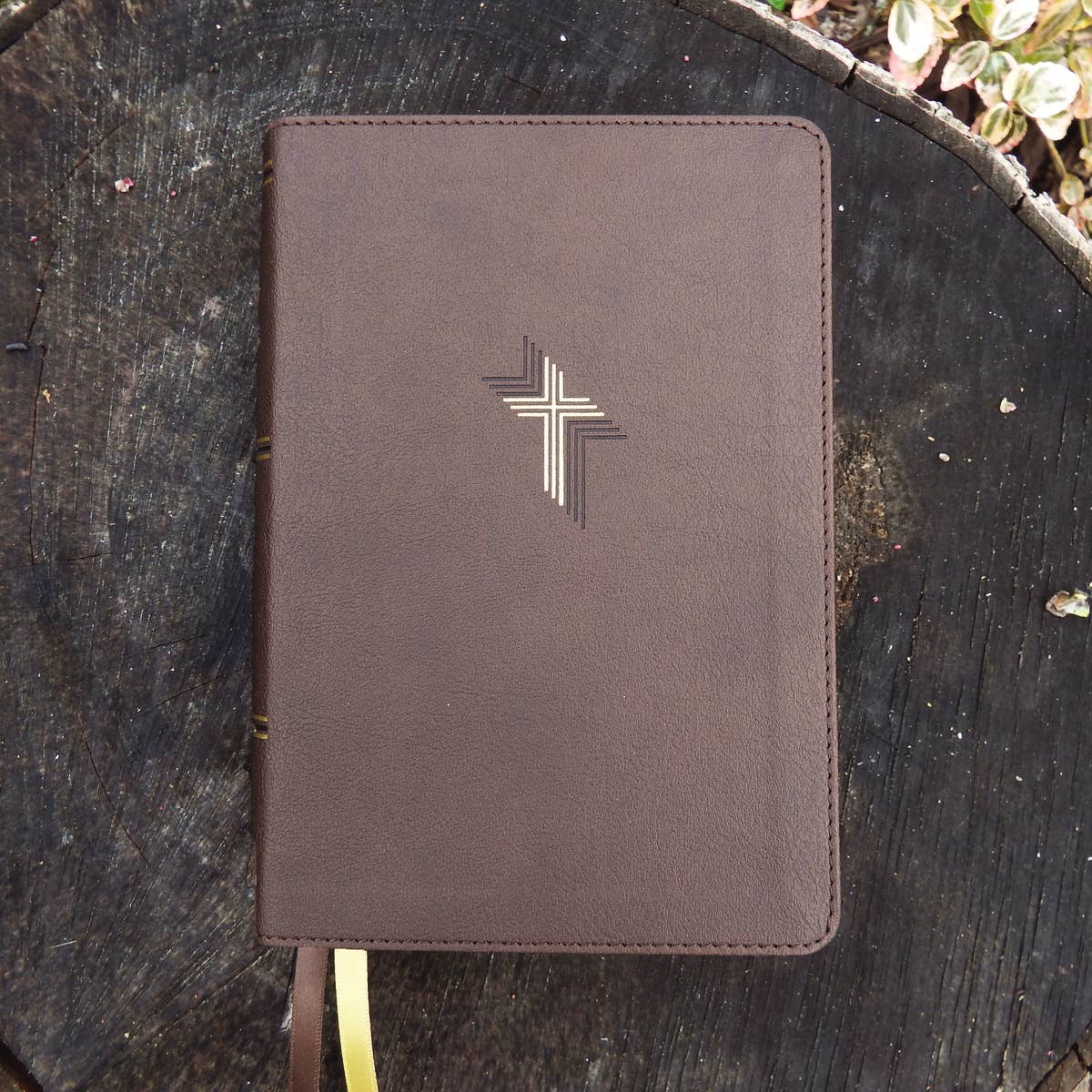 NIV, Larger Print Compact Bible