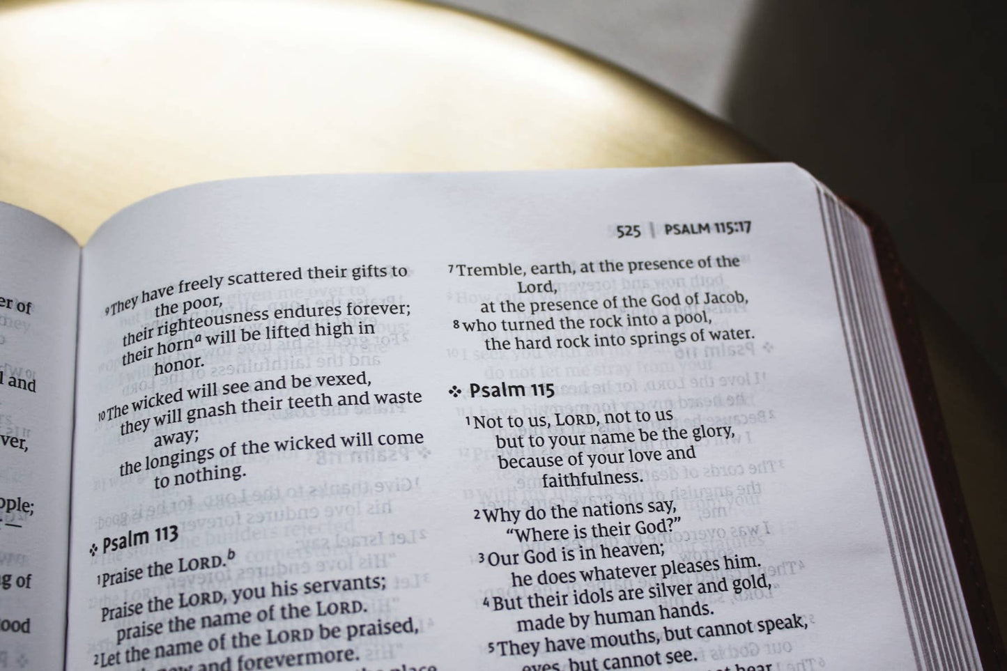 NIV, Thinline Bible