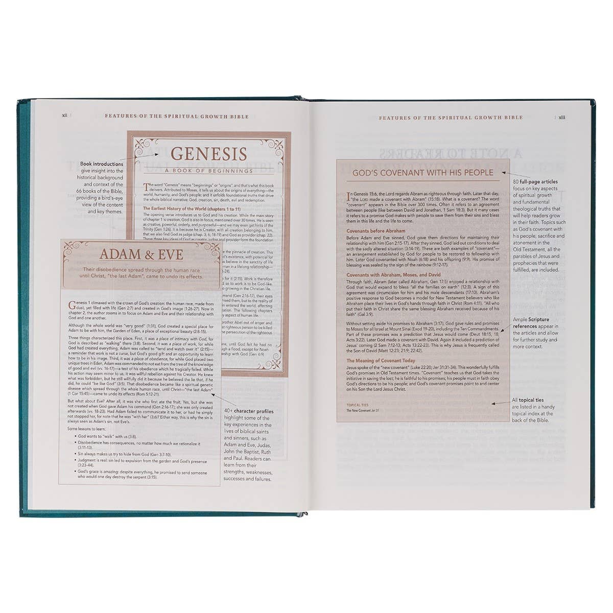 NLT, The Spiritual Growth Bible Hardcover, Teal