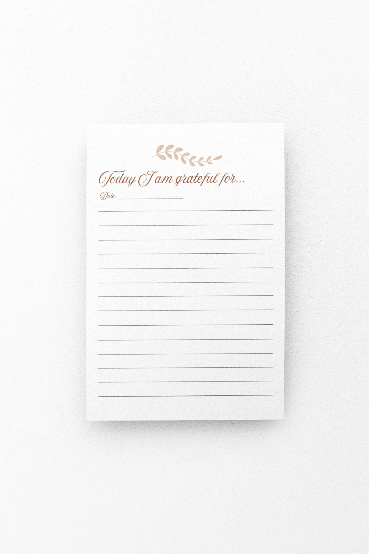 Gratitude Journal Gift Christian Spiral Notebook Gratitude Journal Faith Based Gift  Thankful Notebook For Her Daily Journal